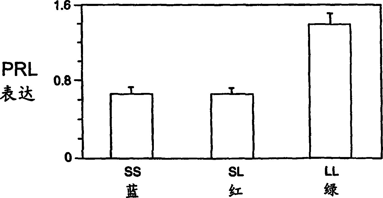 Method for identifying fast-growing fish in different salinity