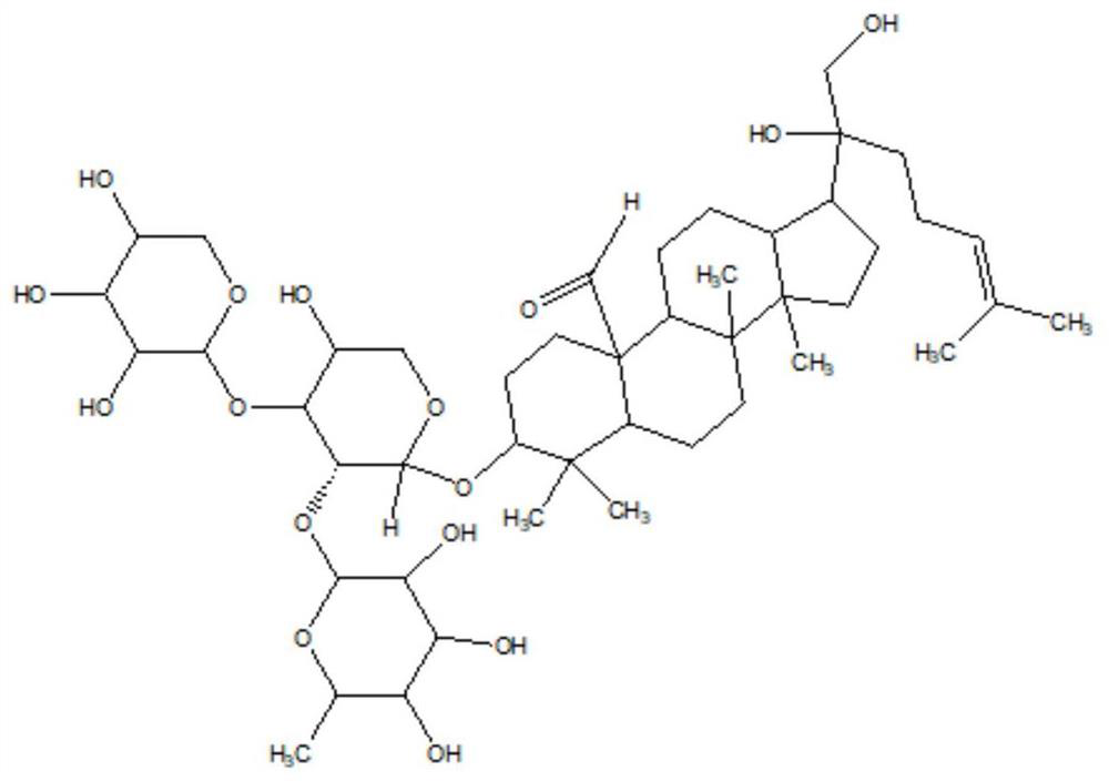 Application of gypenoside B in antagonizing side effects of chemoradiotherapy and glucocorticoid hormone drugs, and preparation method of gypenoside B