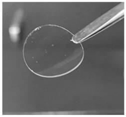 Polyion liquid electrolyte for in-situ photopolymerization without solvent