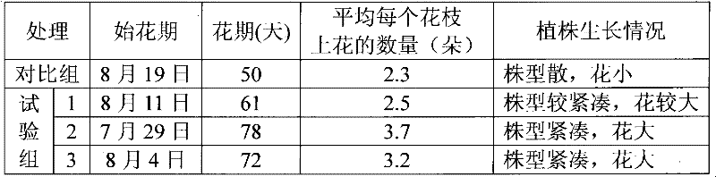 Method for improving ornamental value of torenia fournieri