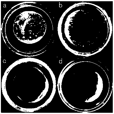 A kind of broad-spectrum antibacterial amphiphilic biological carbon material and its preparation method and application