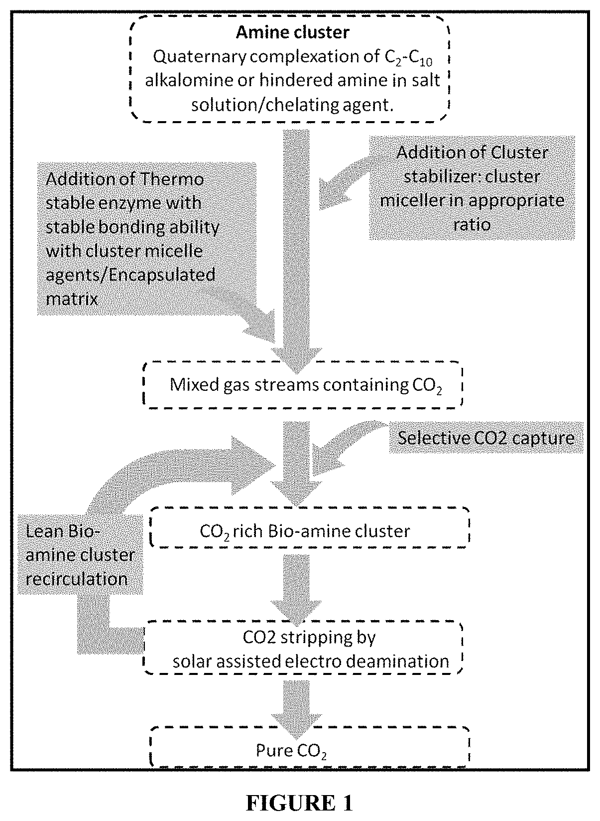 Process for co2 capture from gaseous streams