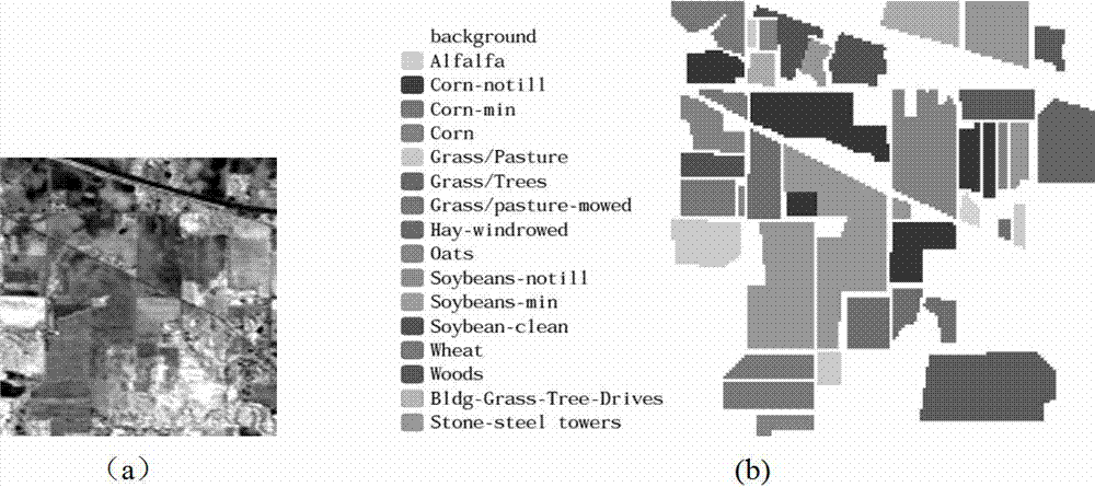 Manifold dimension reduction method of hyperspectral images based on image block distance