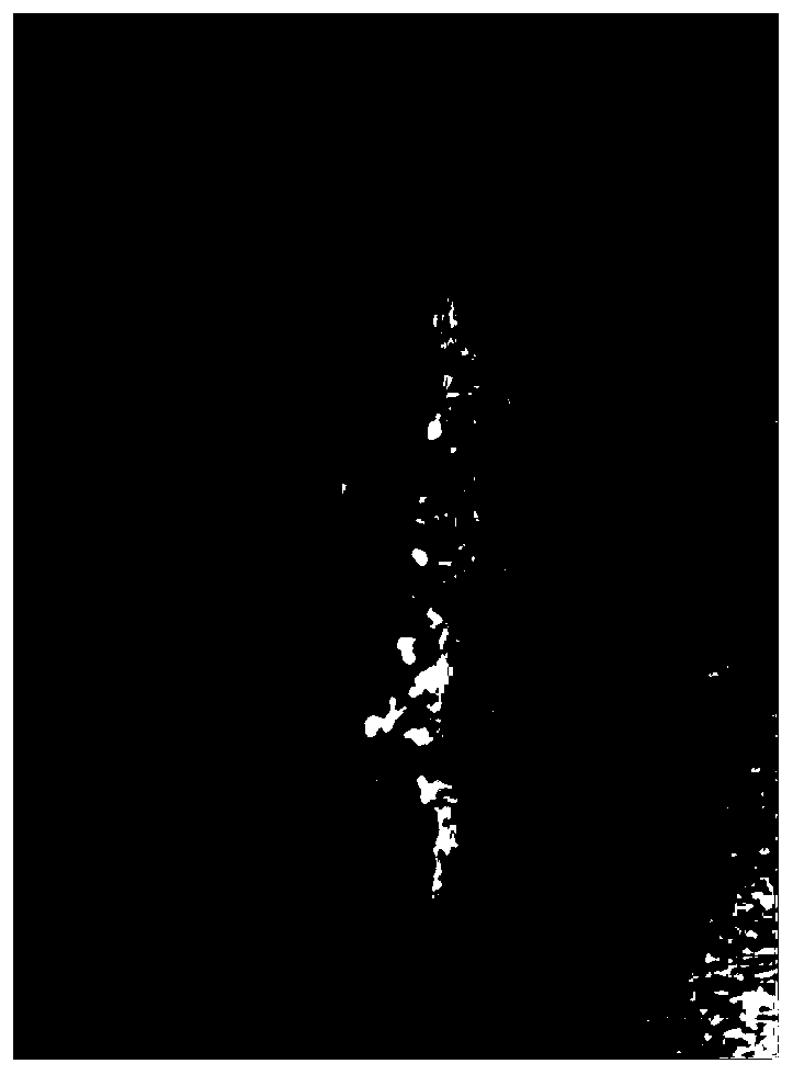 Anti-shrinkage polyphenylene sulfide fibre under ignition and preparation method thereof