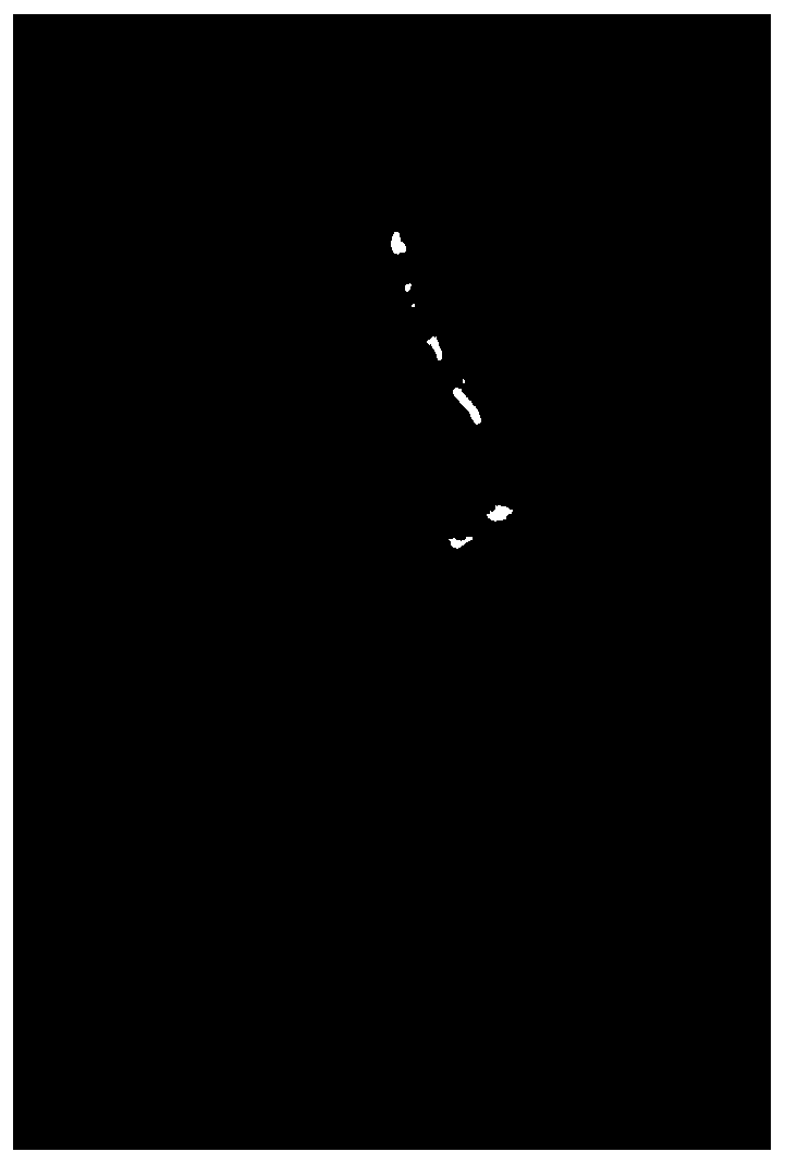 Anti-shrinkage polyphenylene sulfide fibre under ignition and preparation method thereof