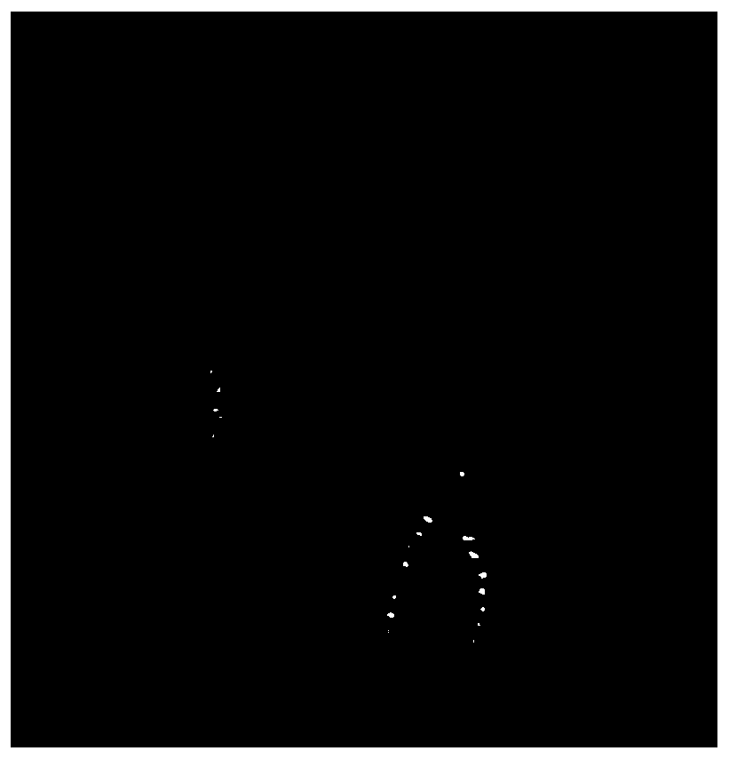 Anti-shrinkage polyphenylene sulfide fibre under ignition and preparation method thereof