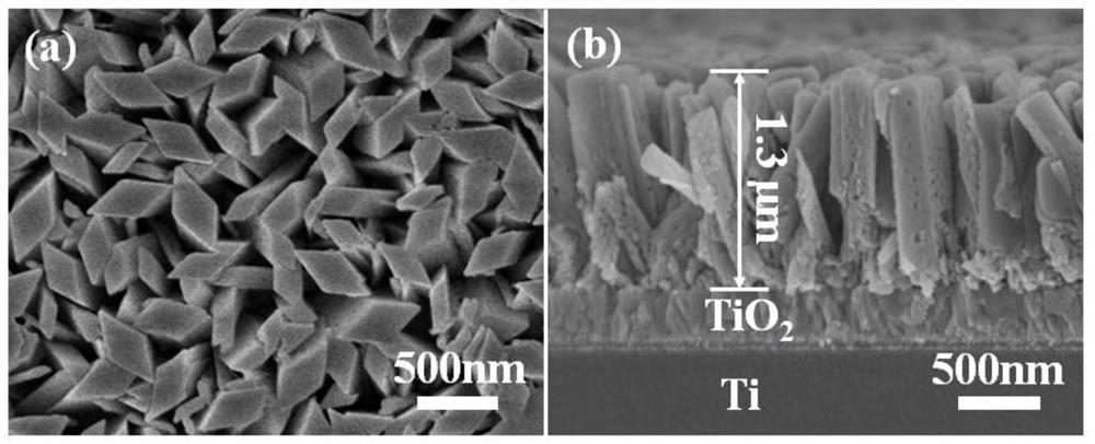 Flexible solar blind ultraviolet detector based on TiO2/Ga2O3 nano-phase junction and preparation method of flexible solar blind ultraviolet detector