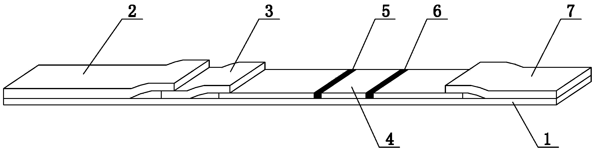 Test strip for rapidly detecting vitamin D