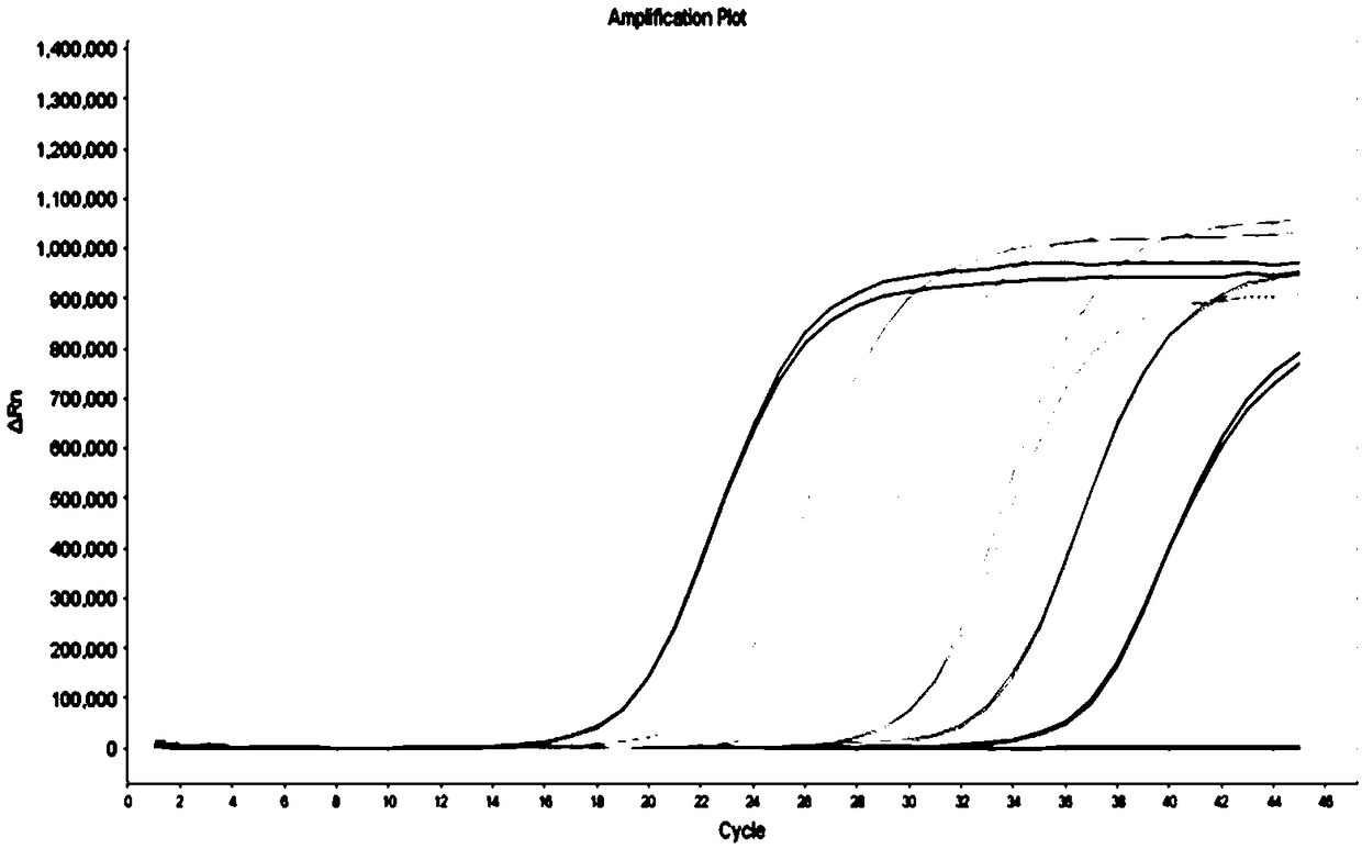 Method for detecting copy number variation of c-MET gene from human peripheral blood CTC and kit