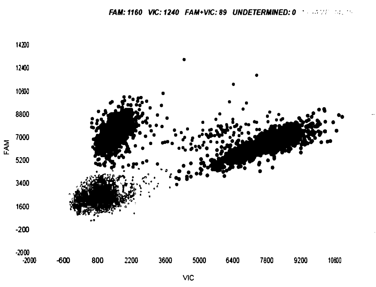 Method for detecting copy number variation of c-MET gene from human peripheral blood CTC and kit