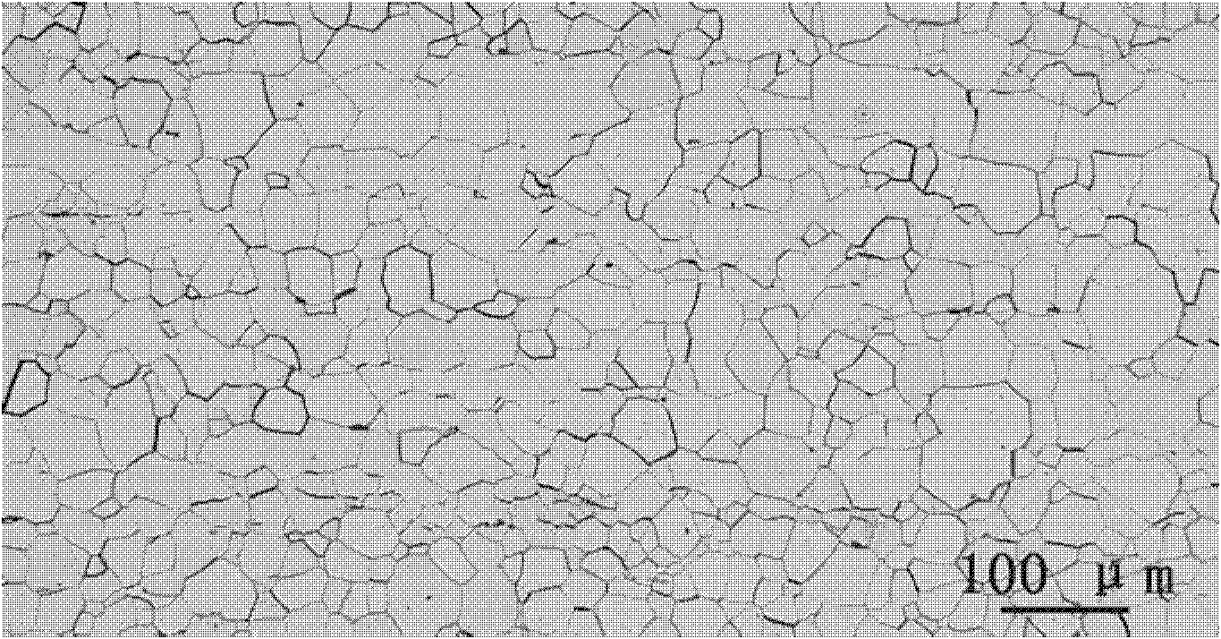 High-yield-strength non-oriented electrical steel plate and manufacturing method thereof