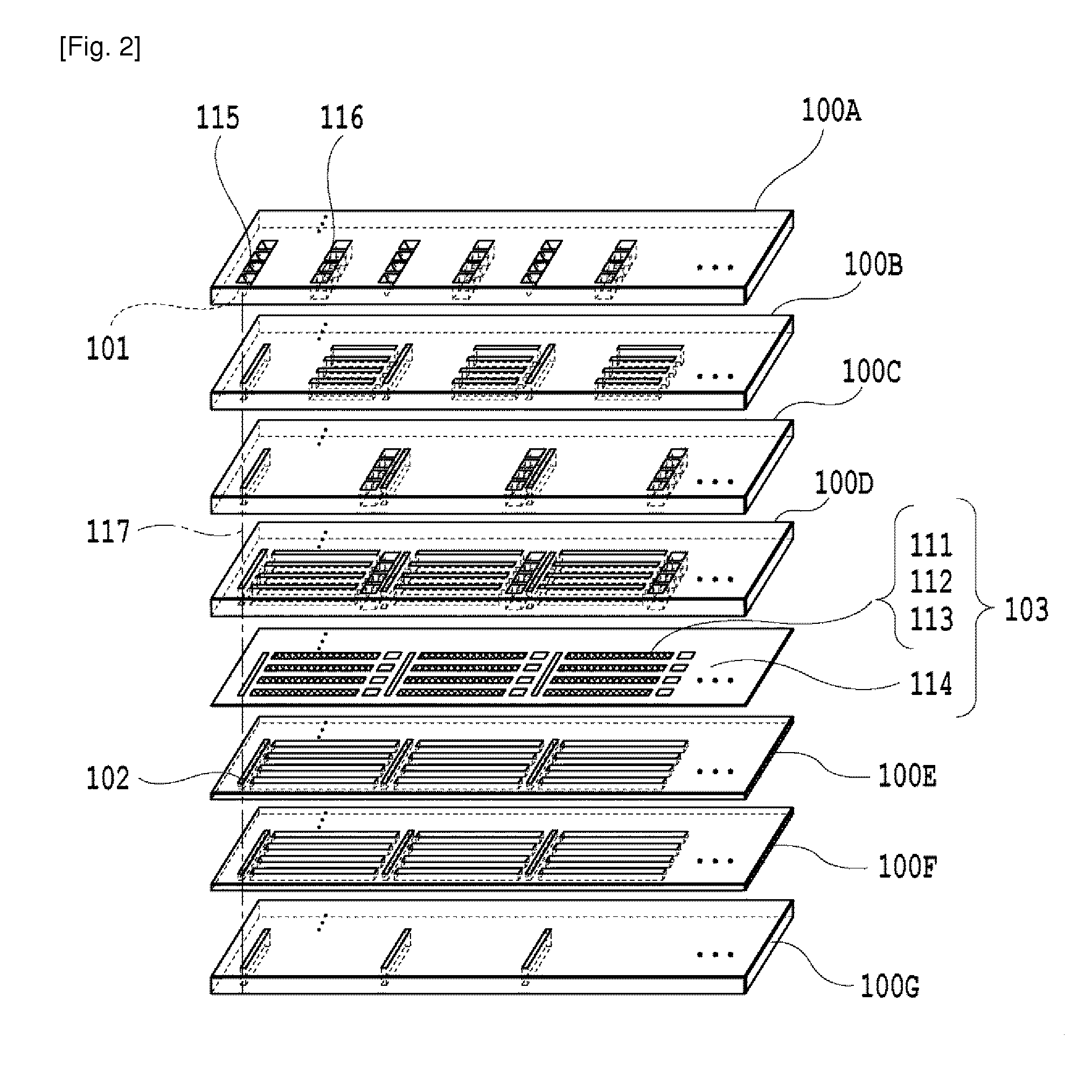 Liquid ejection head and liquid ejection apparatus