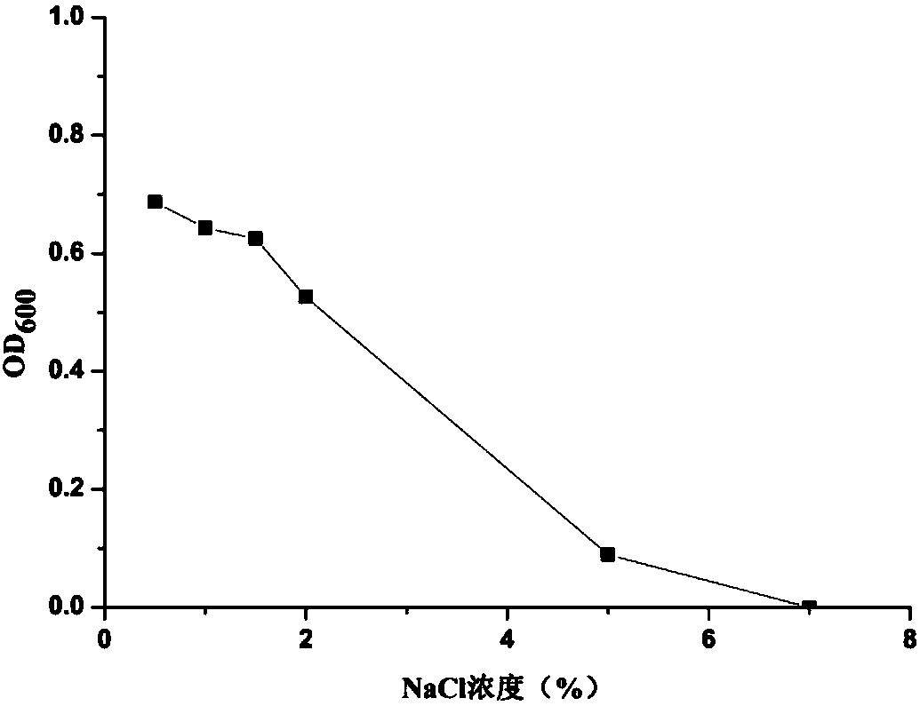 Rhizobium capable of efficiently solubilizing phosphorus and application of rhizobium