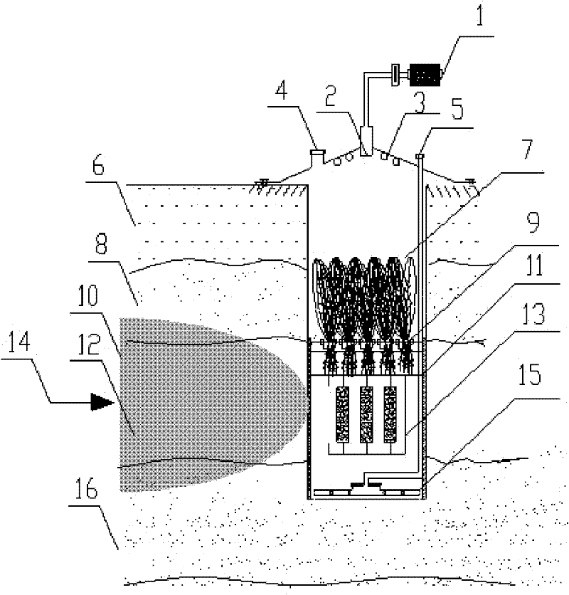 Plant microorganism combination remediation soil and shallow groundwater organic pollutant system