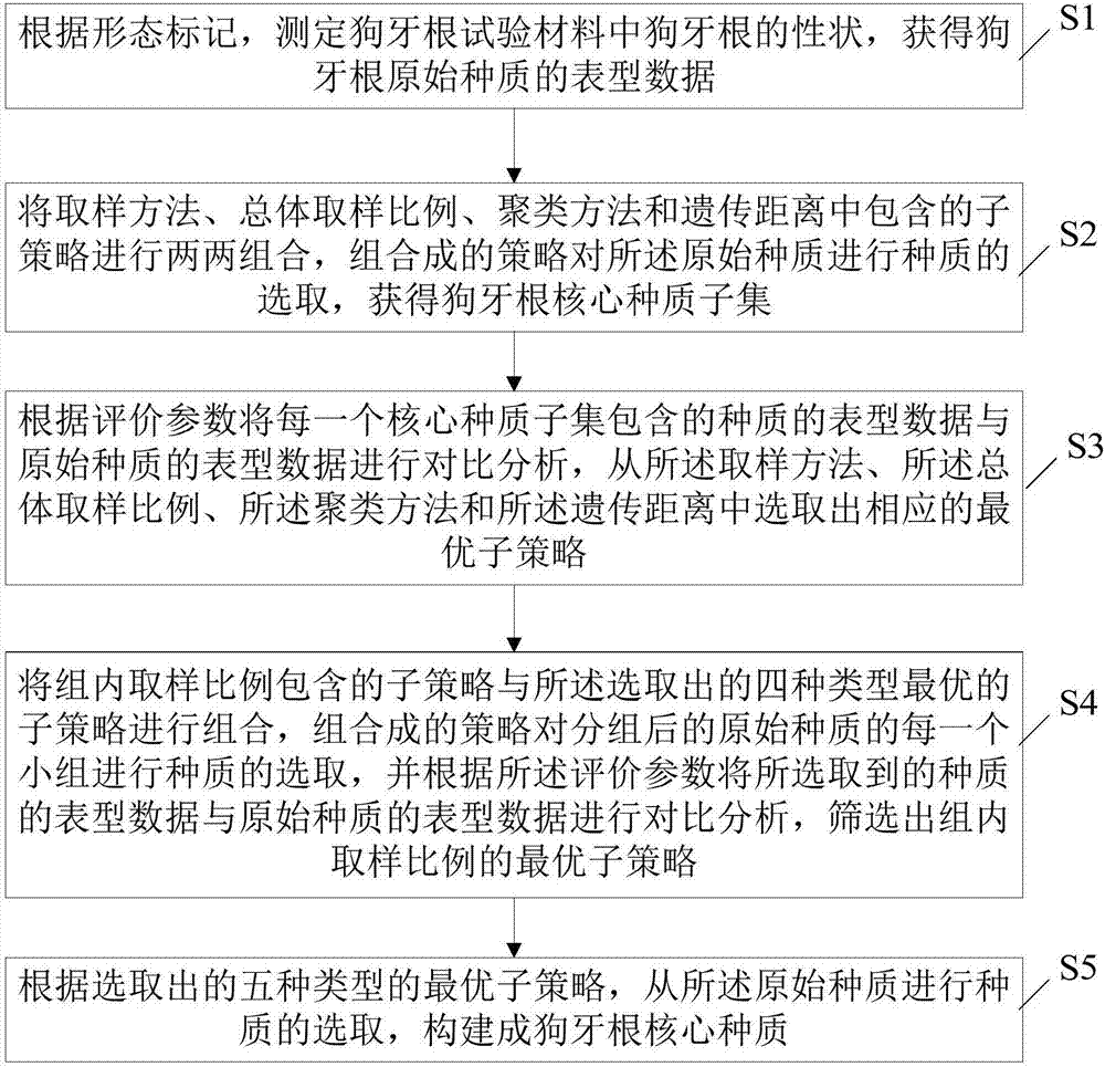 Method and device for constructing Cynodon dactylon core germplasms through morphological marking