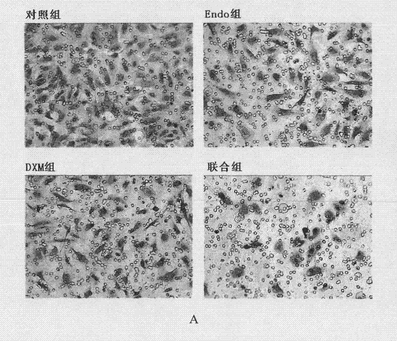 Medicinal composition and application thereof