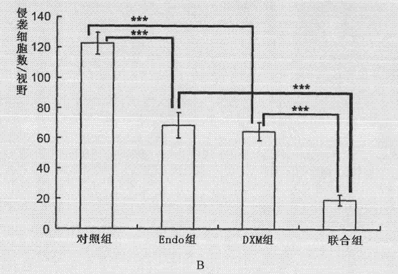 Medicinal composition and application thereof