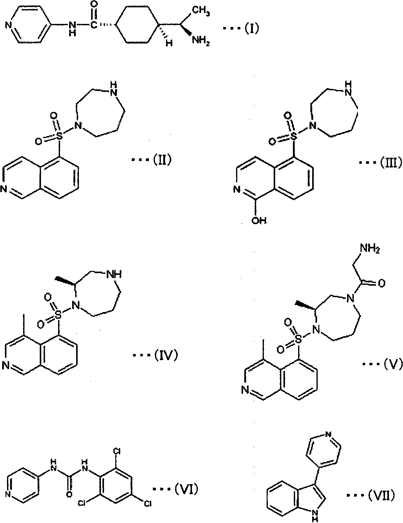 Prophylactic or therapeutic agent for axial myopia