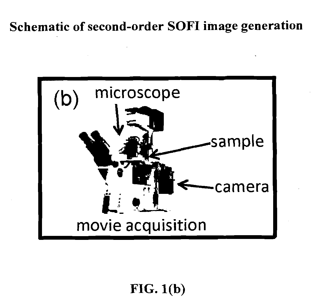 Superresolution Optical Fluctuation Imaging (SOFI)