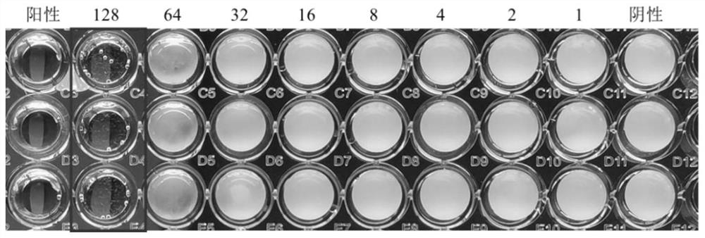 2-amino selenophenes compound and synthesis method and application thereof