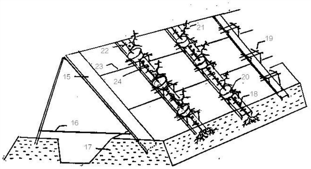 Sectional ladder type cultivation method for inclined trunk type miniature bonsai of pyracantha plant