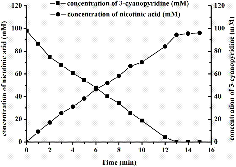 Bacillus subtilis for high yield of recombinant nitrilase and application of bacillus subtilis