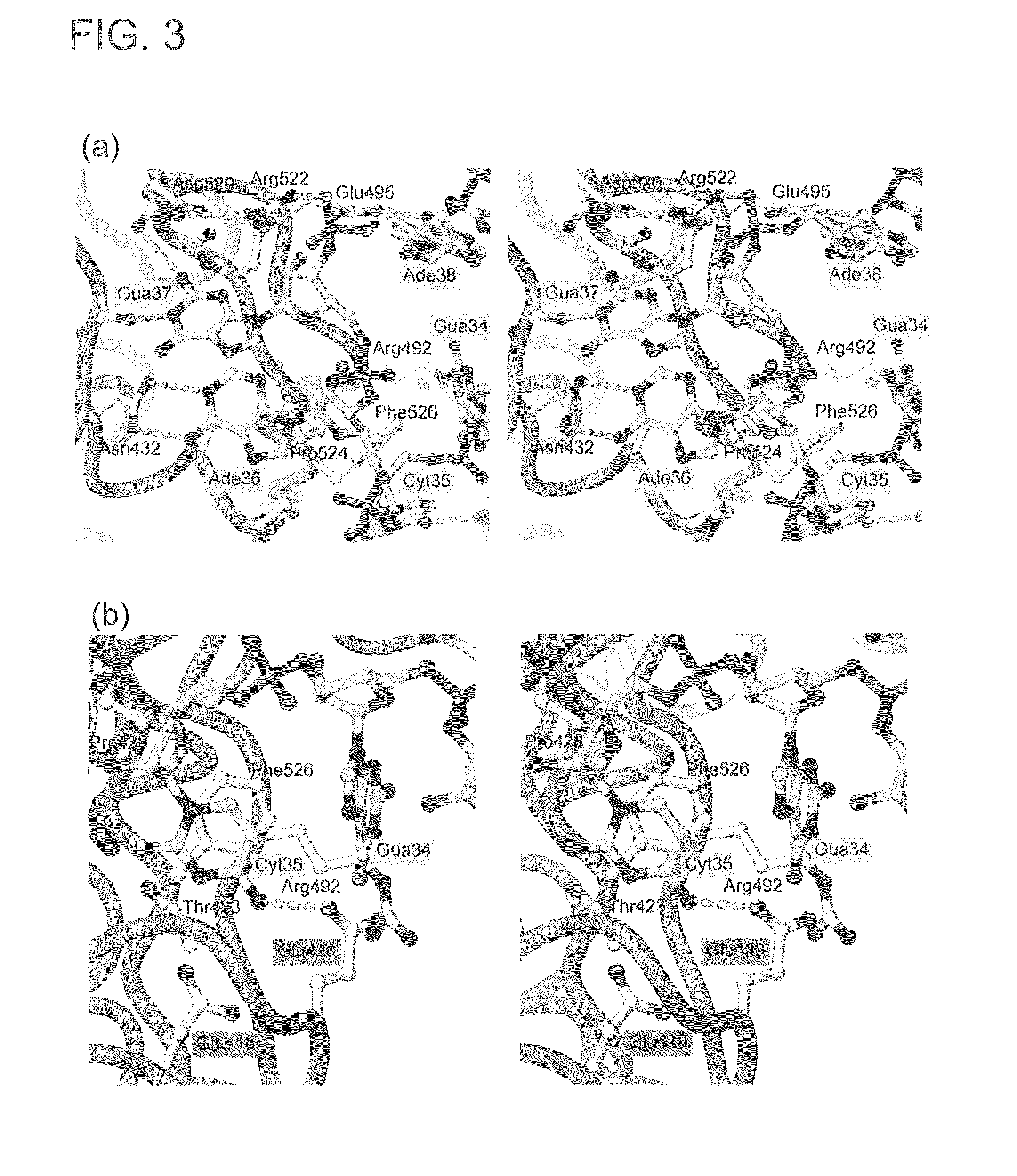 Mutant SepRS, and method for site-specific introduction of phosphoserine into protein using the same