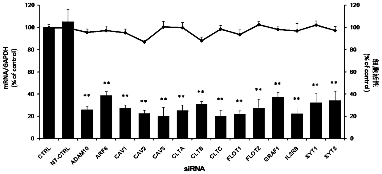 Application of adp-ribosylation factor 6 in the prevention and treatment of enterovirus 71 infection