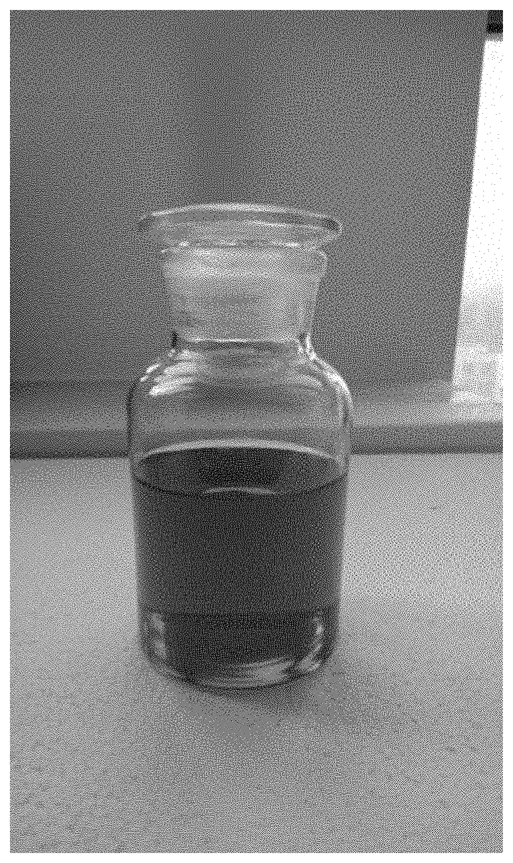 Pharmaceutical composition for treating skin wounds and a method of treating skin wounds using thereof