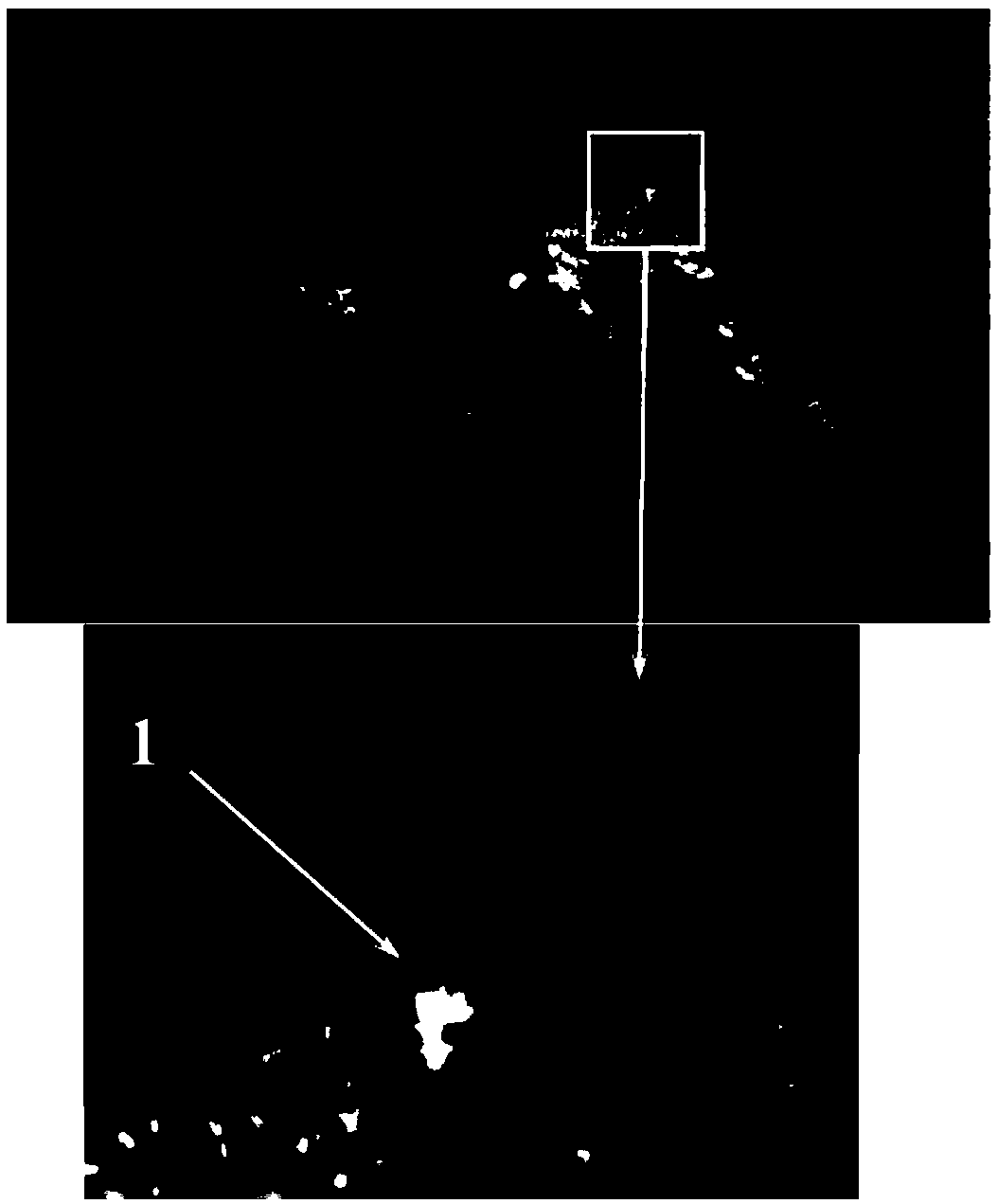 Laser particle image speed measuring data processing method based on moving boundary self-recognition