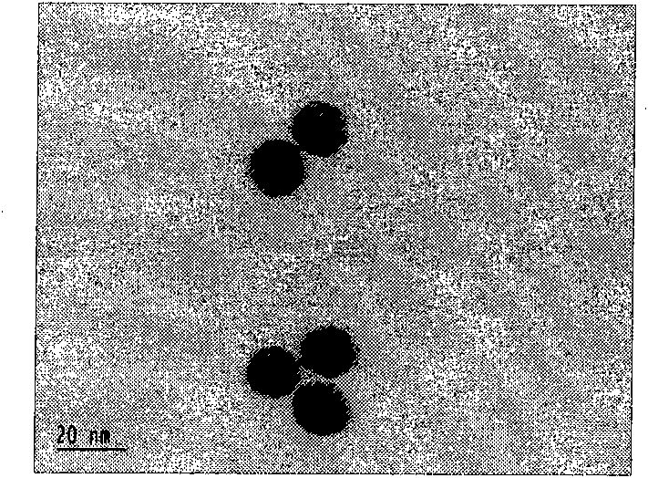 Method for enhancing stability of nano gold and biological detection method adopting the same