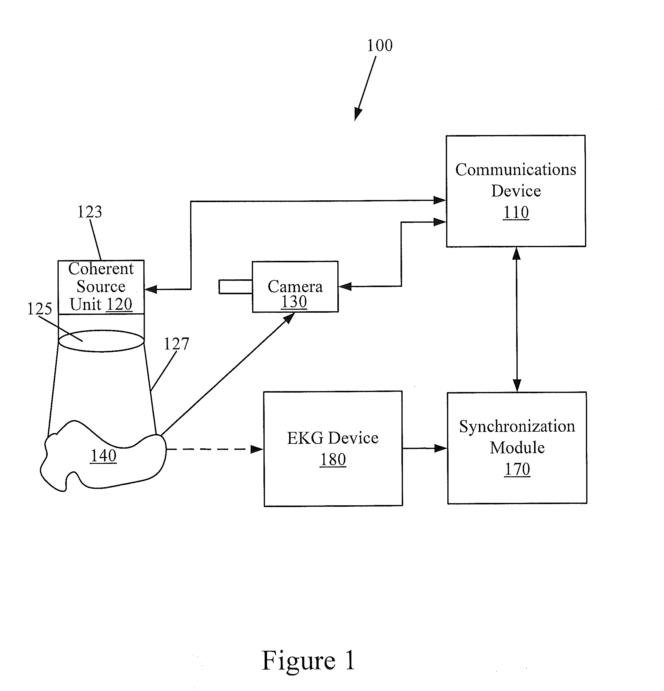 Methods, Systems and Computer Program Products for Non-Invasive Determination of Blood Flow Distribution Using Speckle Imaging Techniques and Hemodynamic Modeling