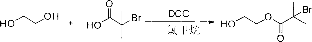 Amphiphilic polymer pigment wetting dispersant for water-based coating and preparation method thereof