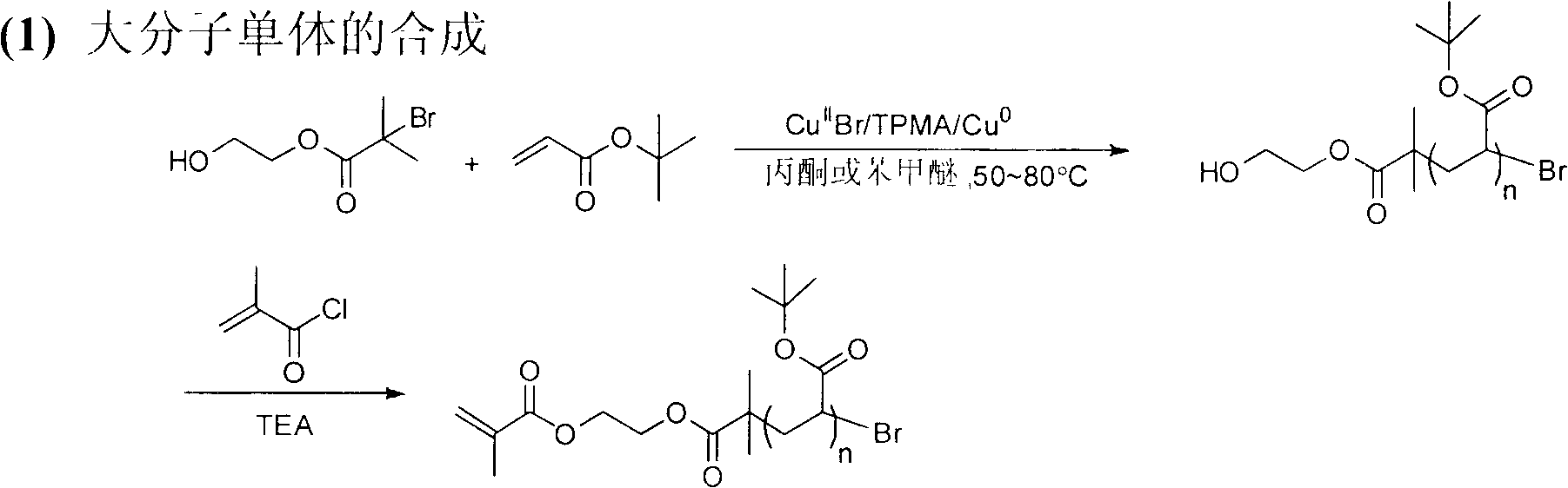 Amphiphilic polymer pigment wetting dispersant for water-based coating and preparation method thereof