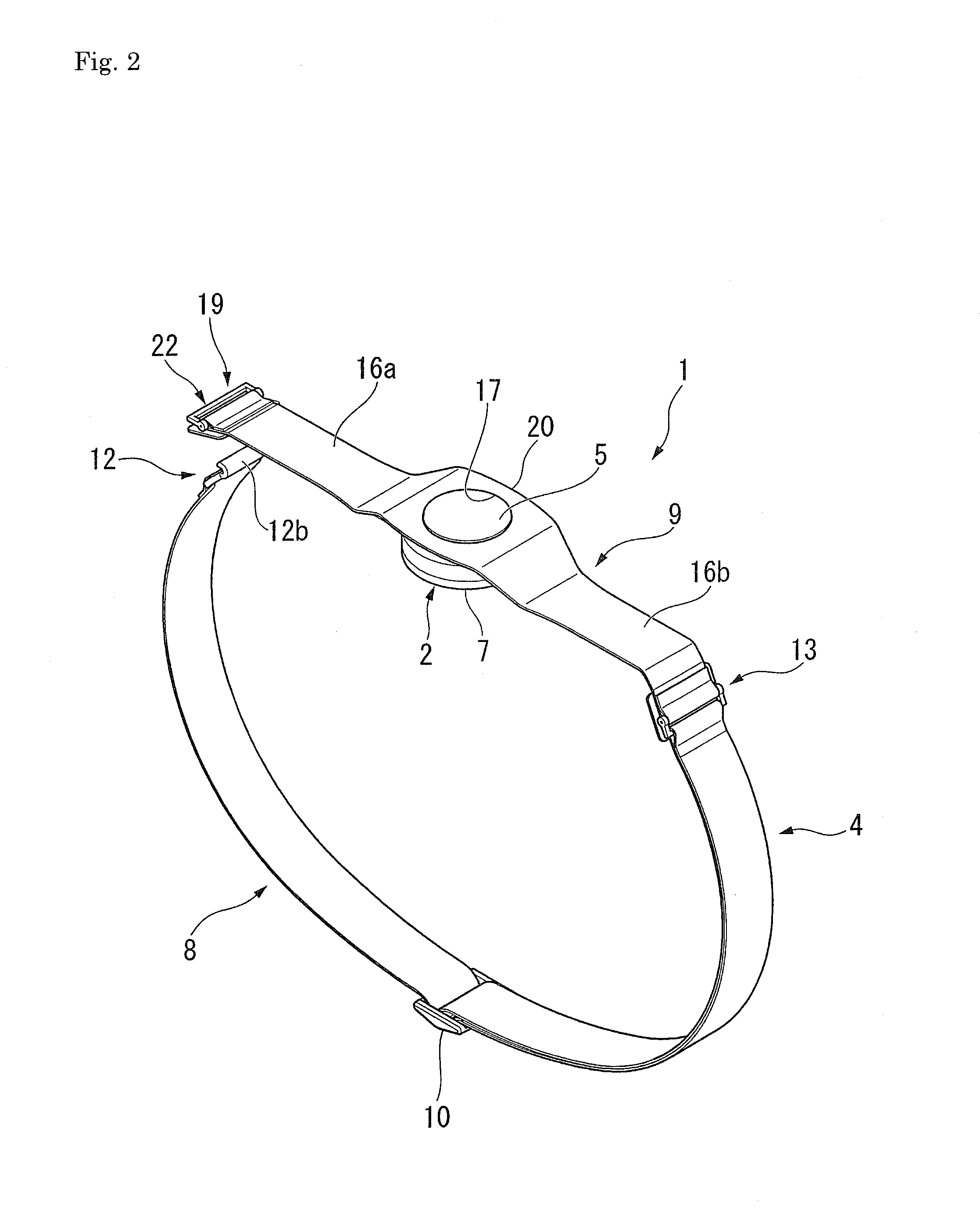 Biological information detection device