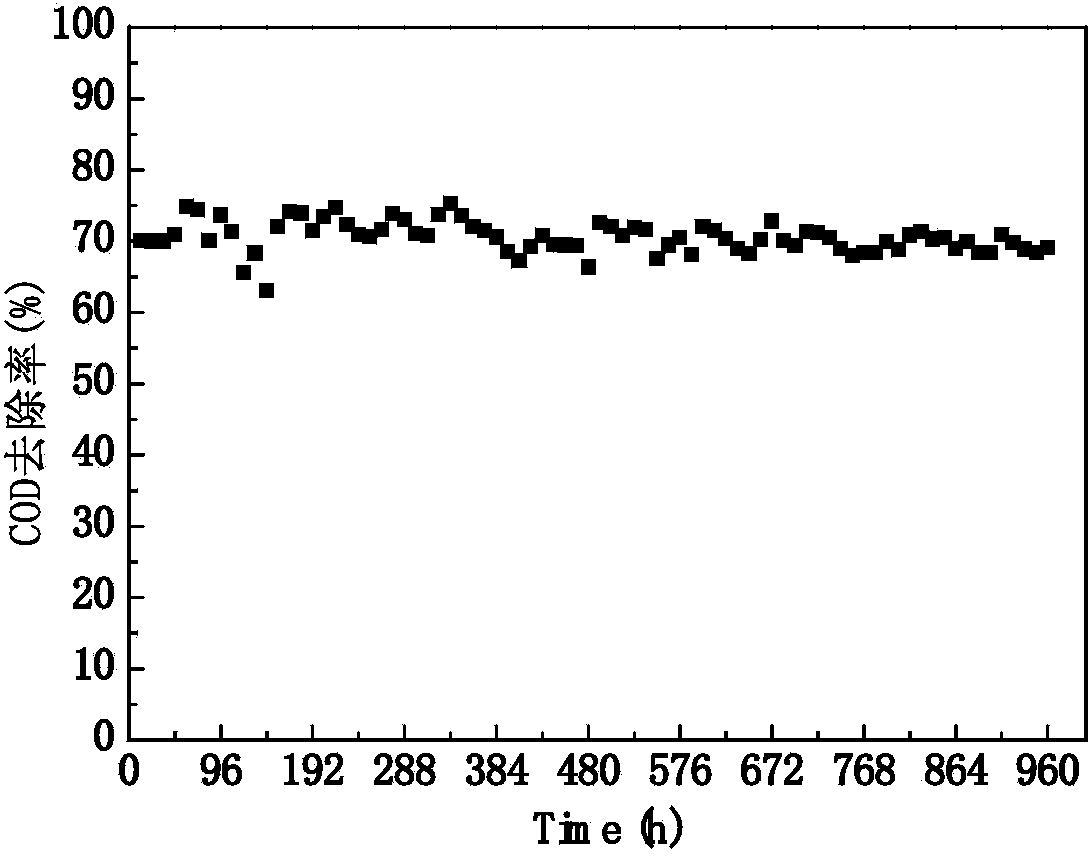 Carbon supported catalyst for ozone oxidation, and preparation method and use thereof