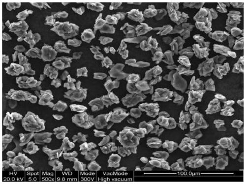 Graphite negative electrode material, lithium ion battery, preparation method and application