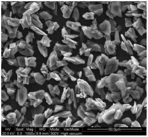 Graphite negative electrode material, lithium ion battery, preparation method and application