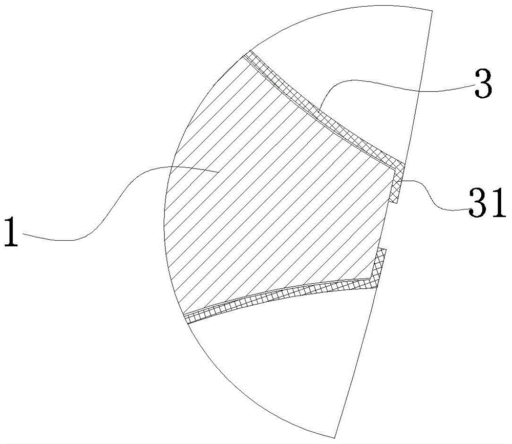 Malaysian squid processing apparatus