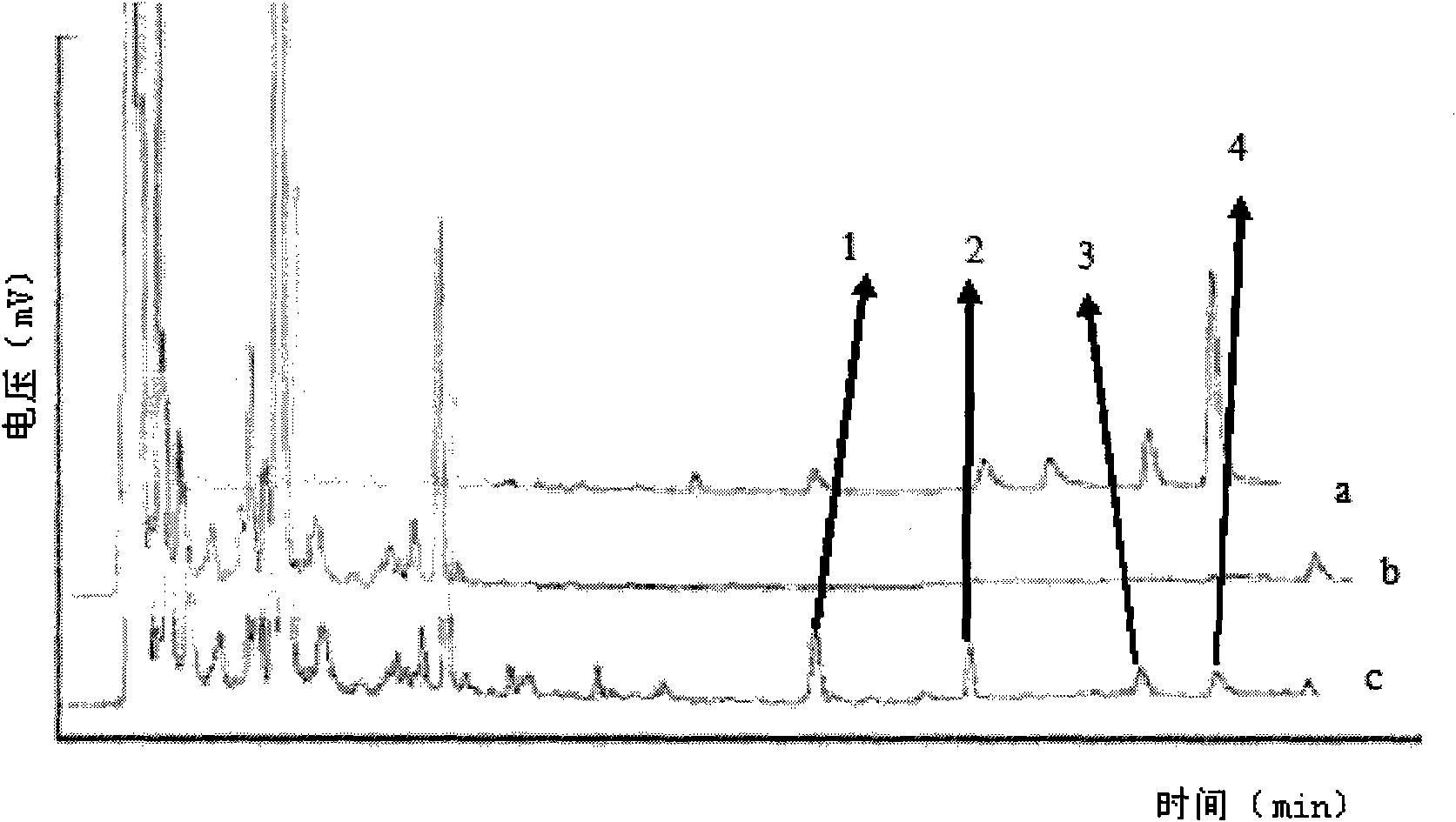 Wine-steamed Chinese goldthread processed product as well as preparation method and application thereof