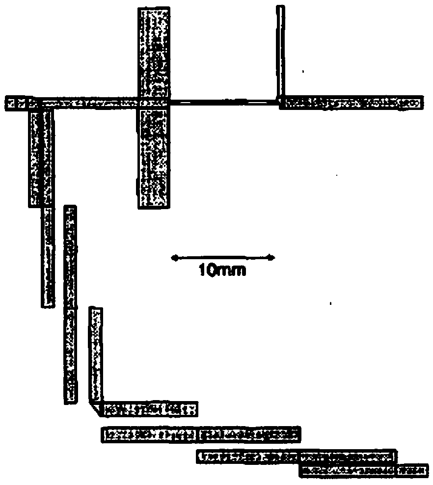 Low-pass band-pass five-duplex based on novel frequency separation structure