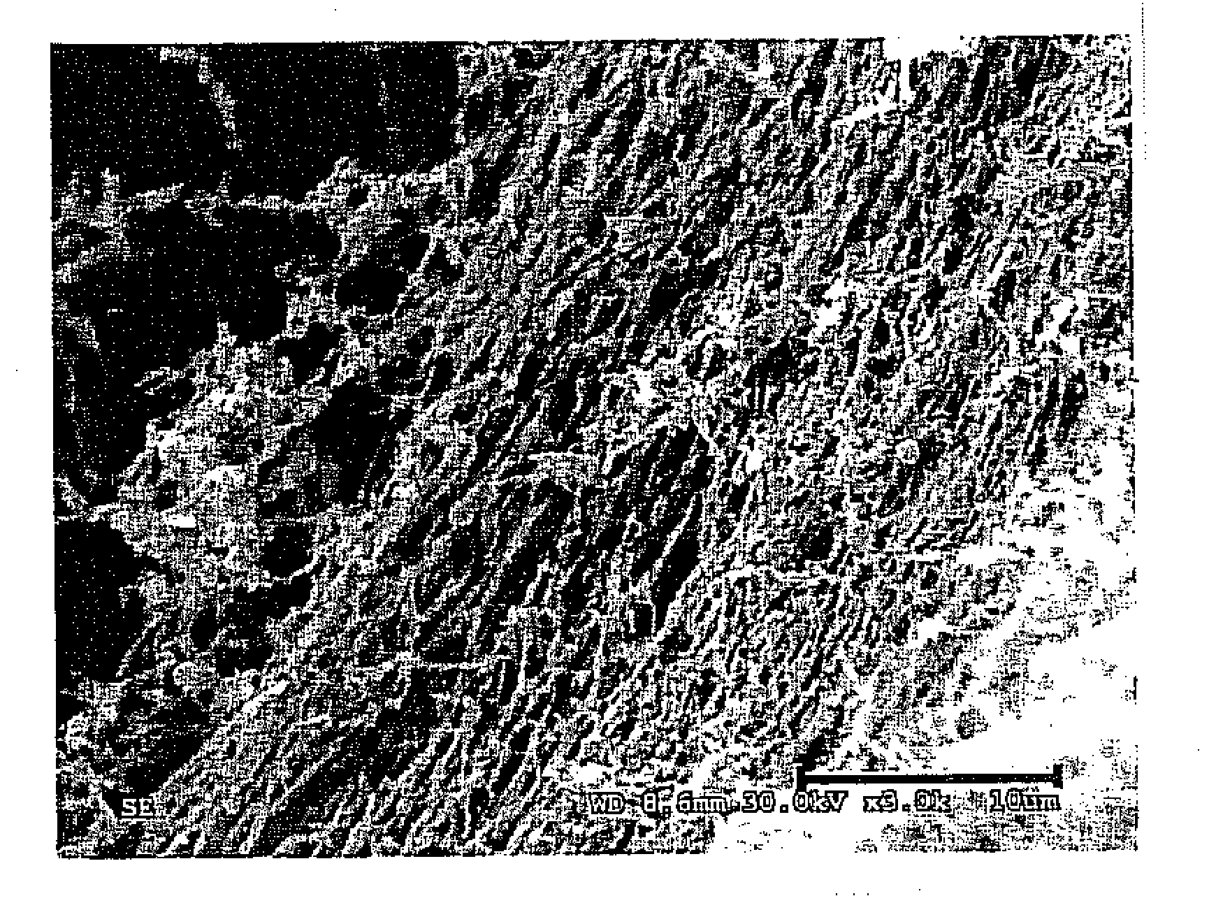 SapC-phosphatide nano vesicle freezed-drying preparation, and preparation method and application thereof