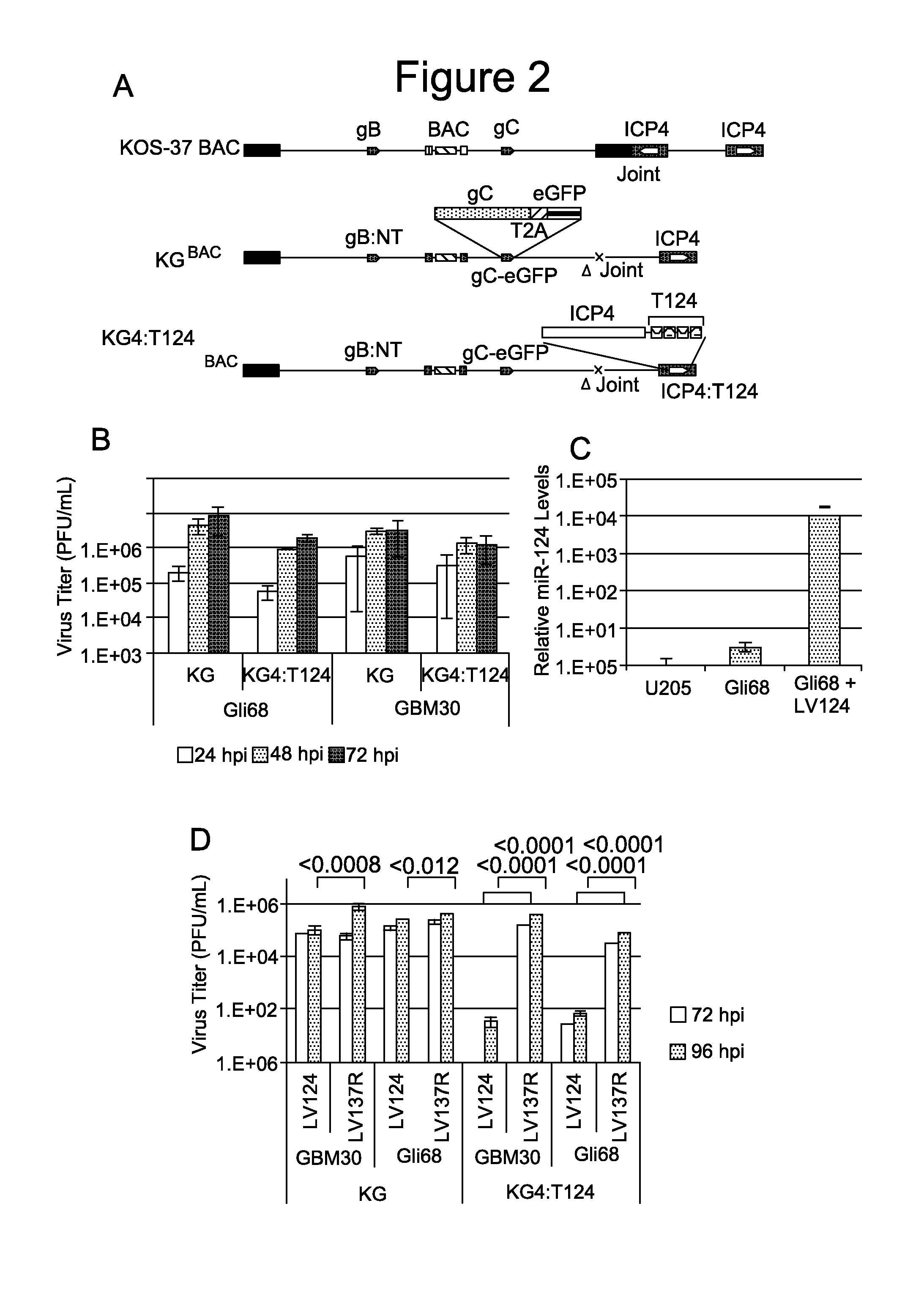 Oncolytic hsv vector