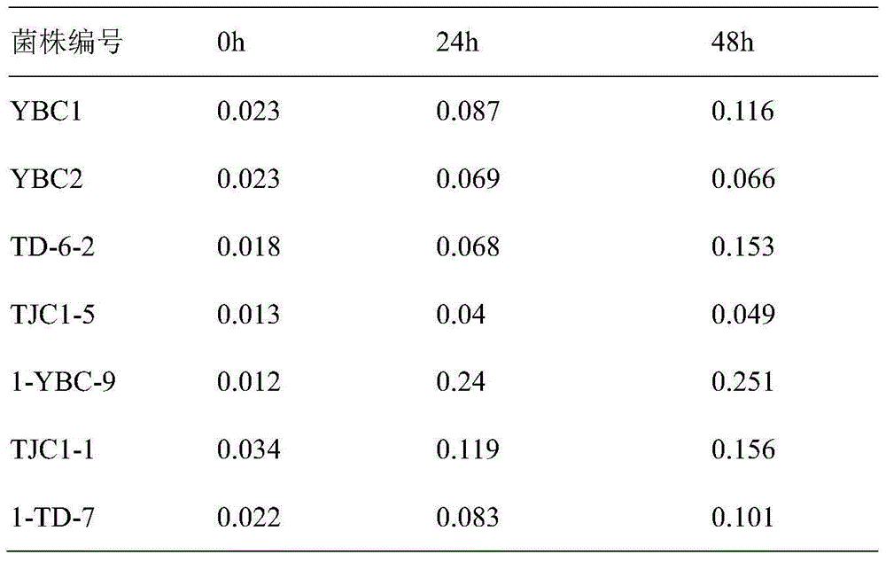 Bacillus subtilis and application of bacillus subtilis in degrading organophosphorus pesticide