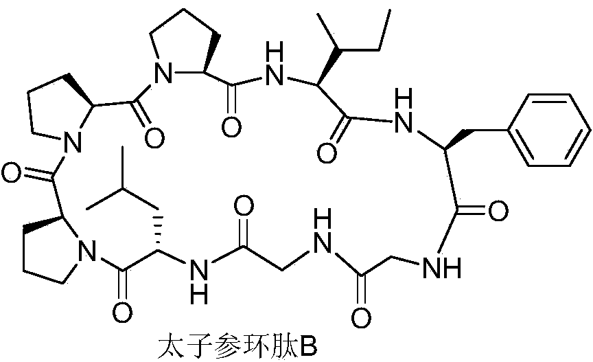 Preparation method of standard radix pseudostellariae cyclopeptide B