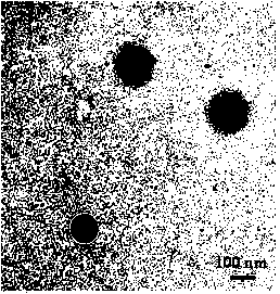 A kind of preparation method of core-shell graphene quantum dots@mesoporous silica nanomaterials