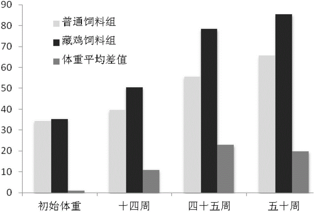 Tibetan chicken feed, as well as preparation method and application thereof, and Tibetan chicken feeding method