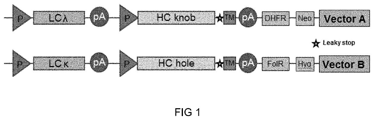 Method of manufacturing bispecific antibodies, bispecific antibodies and therapeutic use of such antibodies