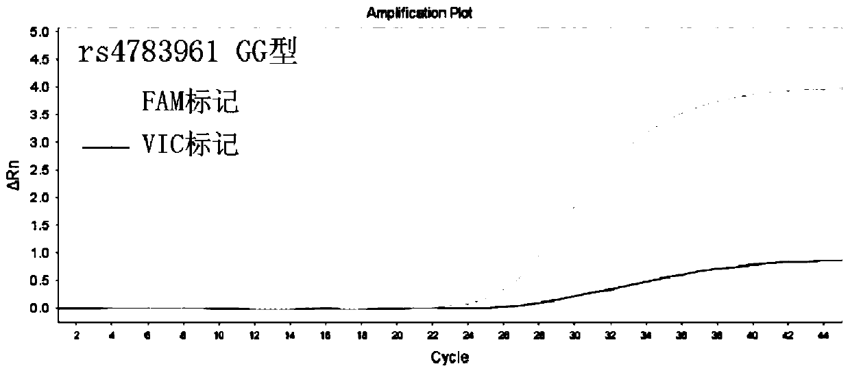 Primer probe combination for guiding detection of fluvastatin drug individualized drug use related gene, kit and application of kit