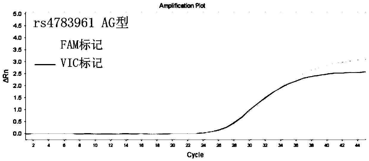 Primer probe combination for guiding detection of fluvastatin drug individualized drug use related gene, kit and application of kit